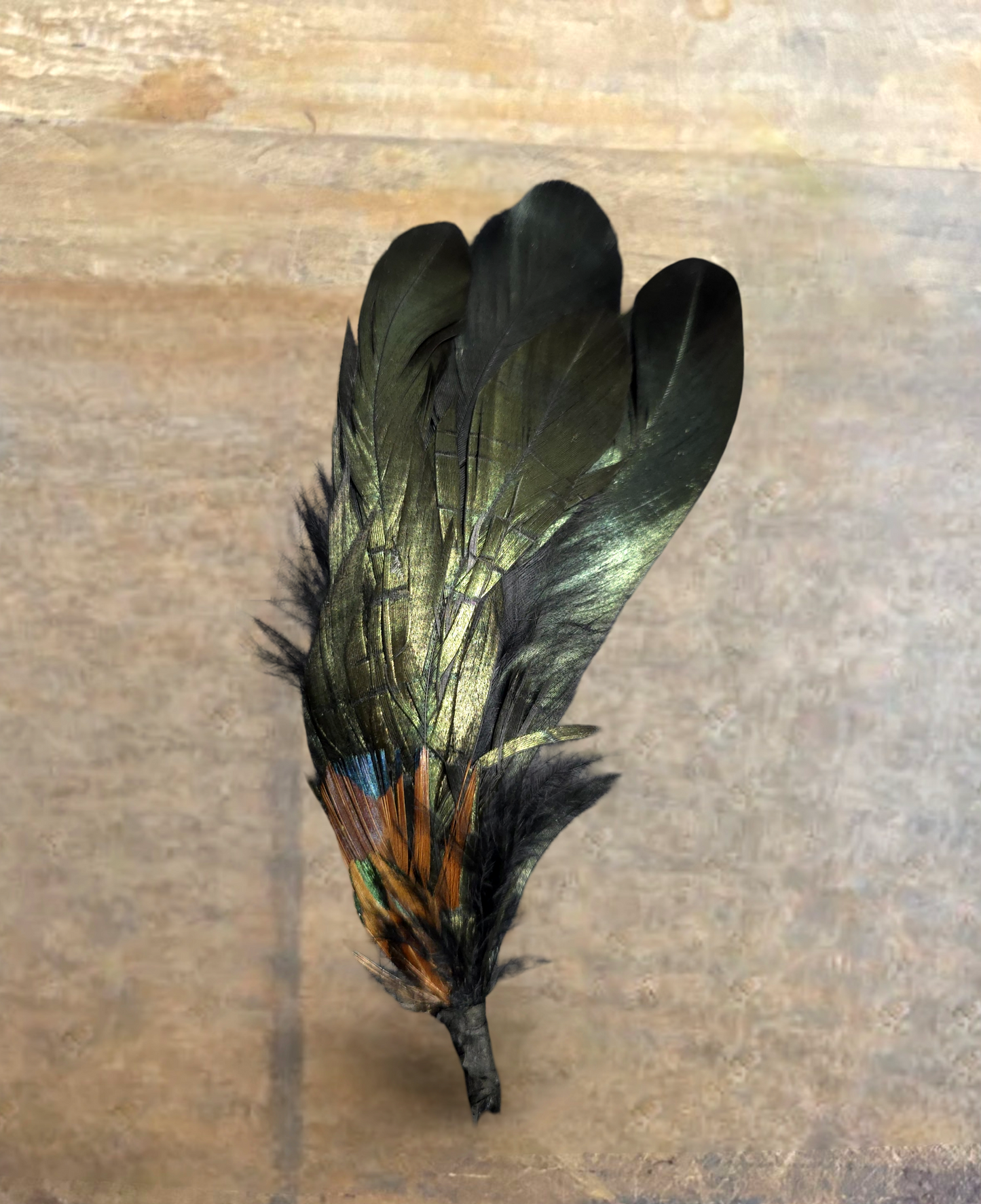 PLUMAS PARA SOMBRERO/ HAT FEATHERS (2pack)