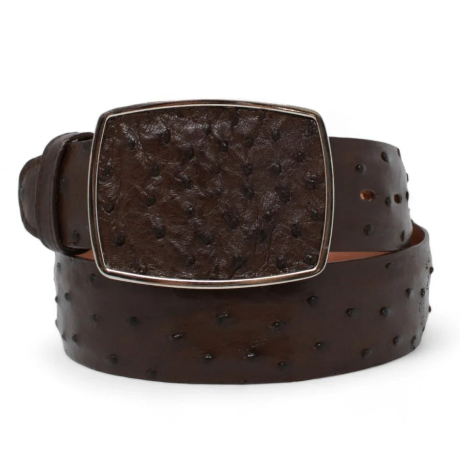 Cinto Vaquero de Avestruz Original Color Cafe - Wild West Boots