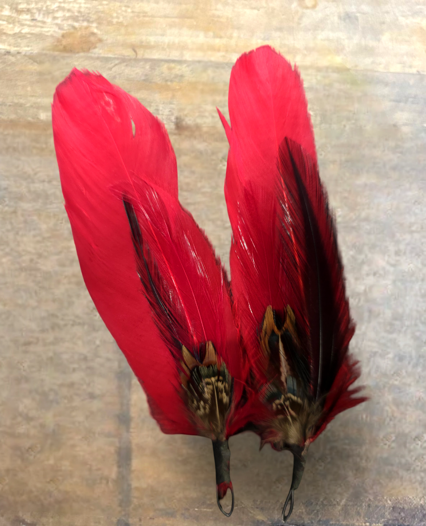 PLUMAS PARA SOMBRERO/ HAT FEATHERS (2pack)
