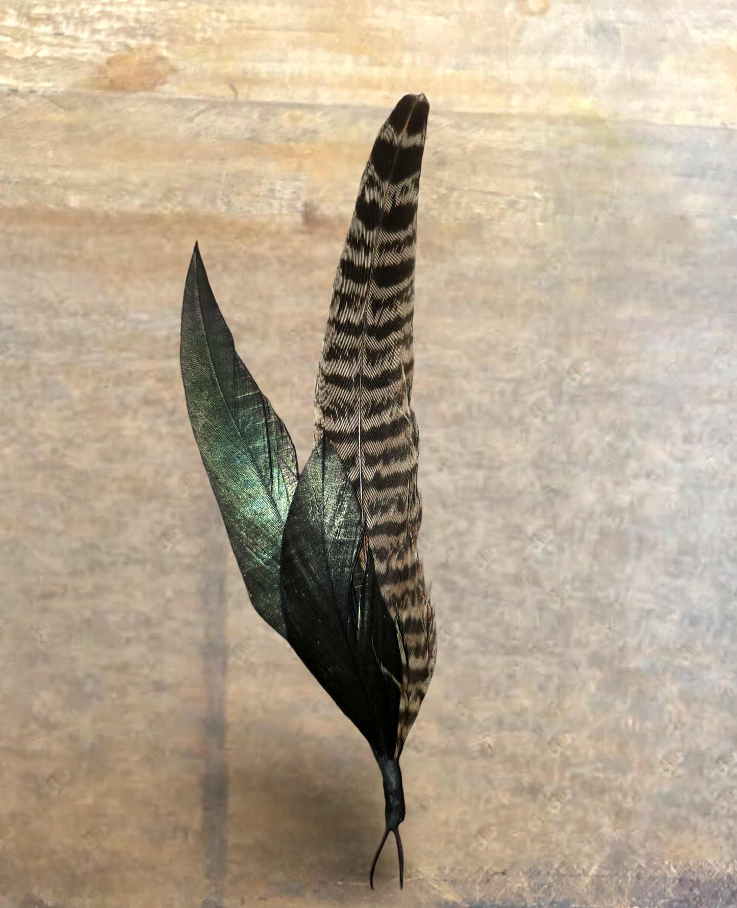 PLUMAS PARA SOMBRERO/ HAT FEATHERS (2pack)