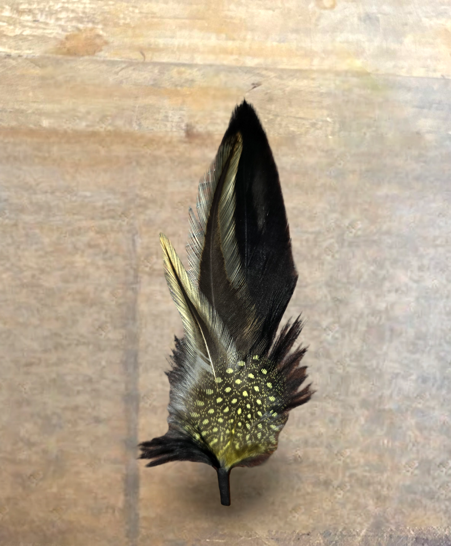 PLUMAS PARA SOMBRERO/ HAT FEATHERS (2pack)