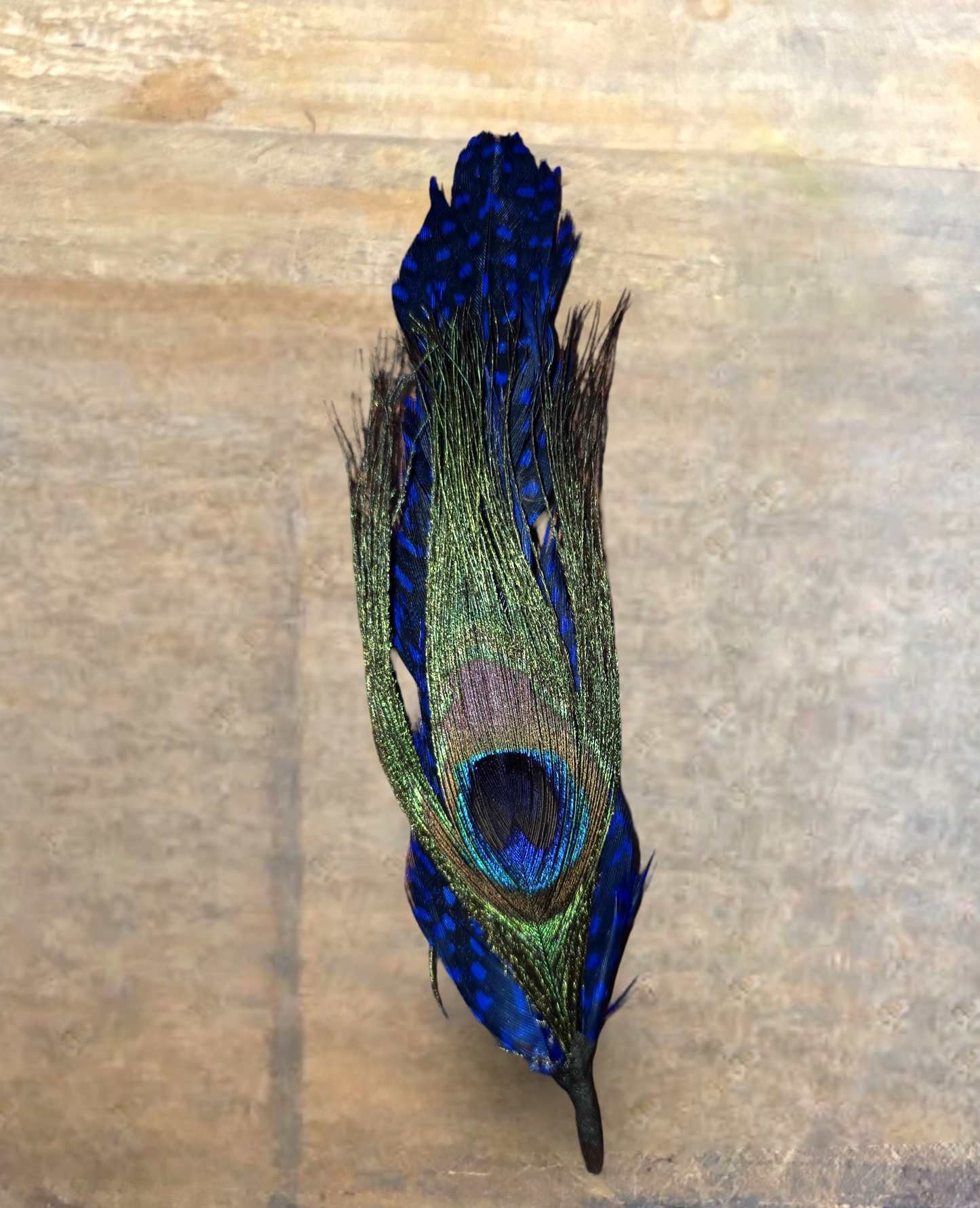 PLUMAS PARA SOMBRERO/ HAT FEATHERS (2pack)
