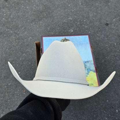 STETSON SKYLINE 6X SILVER GREY