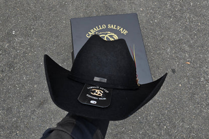 TEXANA PARA NIÑO/ FELT HAT FOR KIDS COLOR NEGRA CON PLUMA